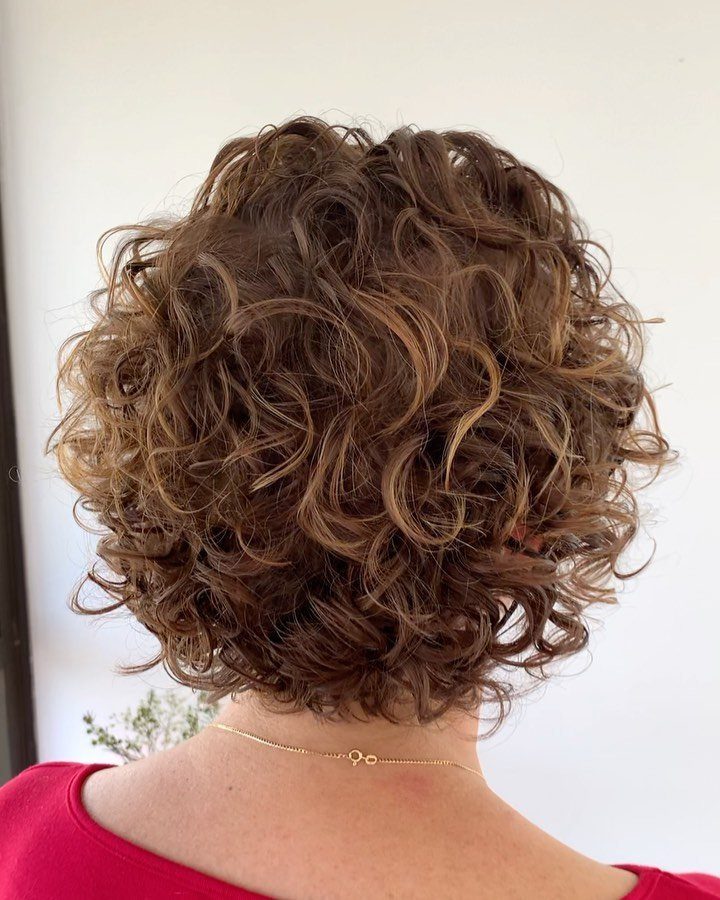 Short brown curly hairstyle with voluminous defined ringlets viewed from behind