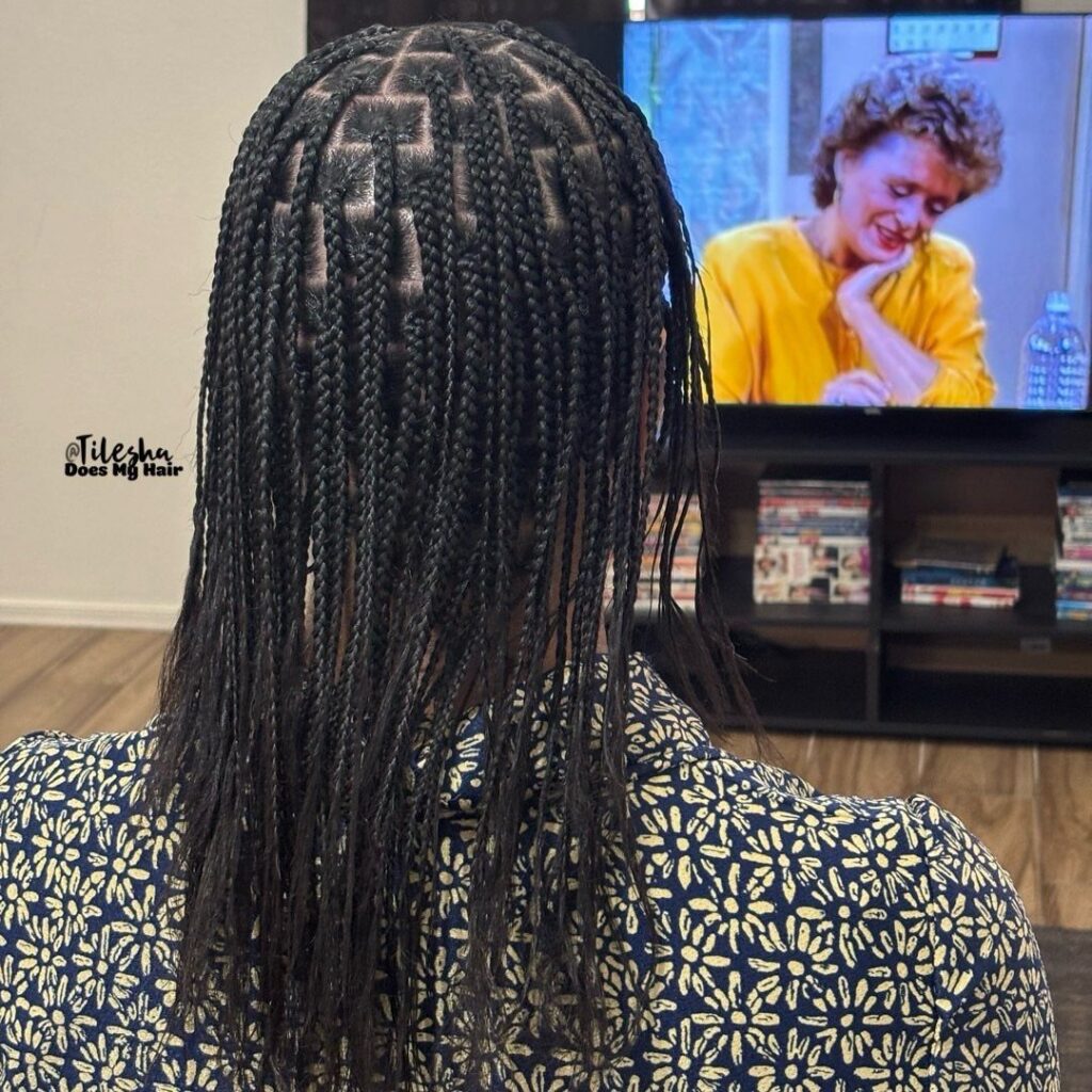 Long black braids arranged in neat rows down a person's back